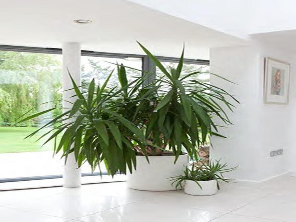 والينغفورد Warborough B&B المظهر الخارجي الصورة